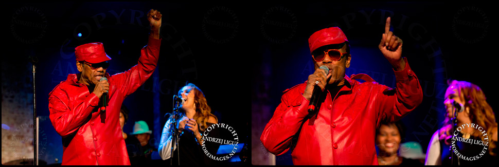 Bobby Womack performing at City Winery in NYC