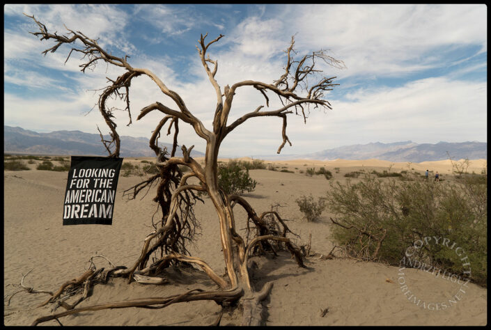 The MAD (MORE American Dreams) Journey, Death Valley, CA